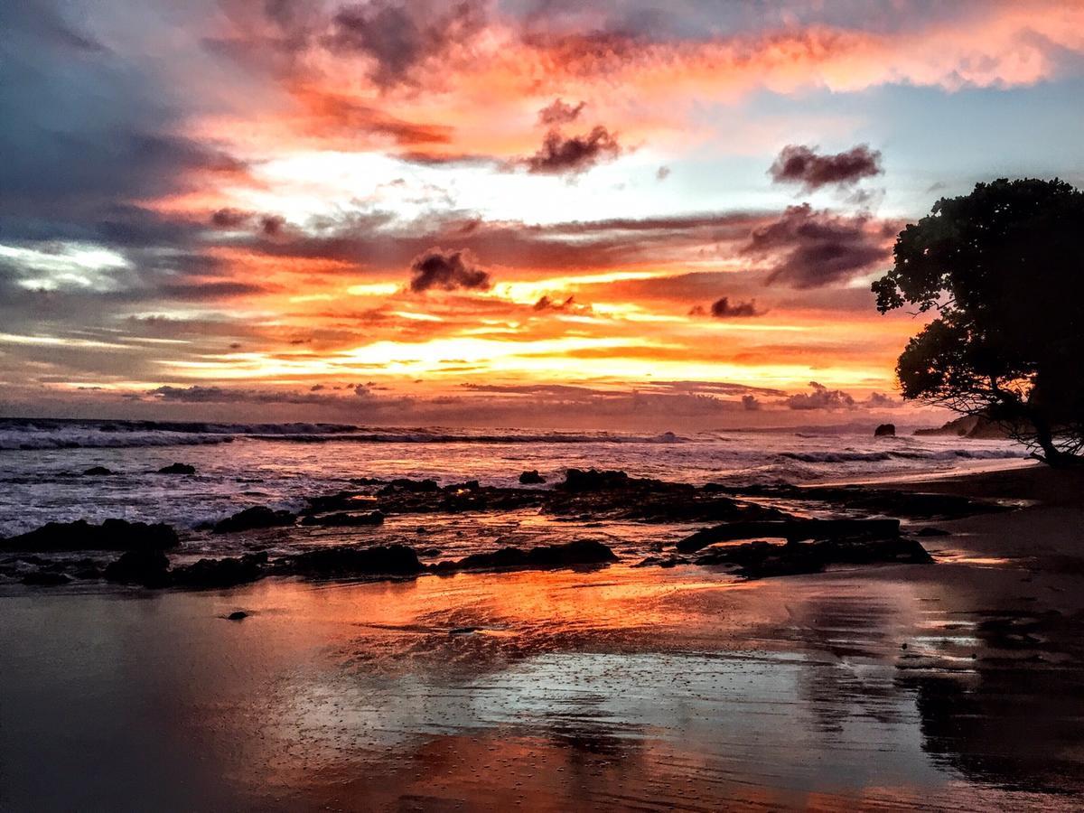 نزل Playa Santa Teresa في Selina Santa Teresa North المظهر الخارجي الصورة