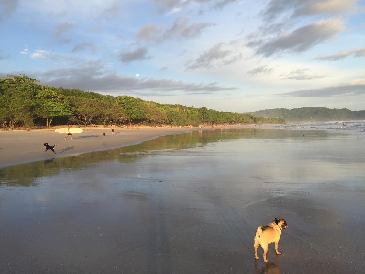 نزل Playa Santa Teresa في Selina Santa Teresa North المظهر الخارجي الصورة