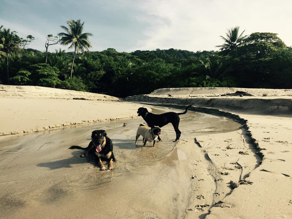 نزل Playa Santa Teresa في Selina Santa Teresa North المظهر الخارجي الصورة